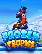 ทาง เข้า เว็บ slotxo ที่คุณต้องรู้เพื่อโอกาสชนะมากขึ้น